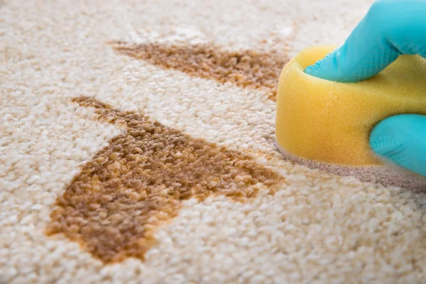 Carpet Cleaning Geelong