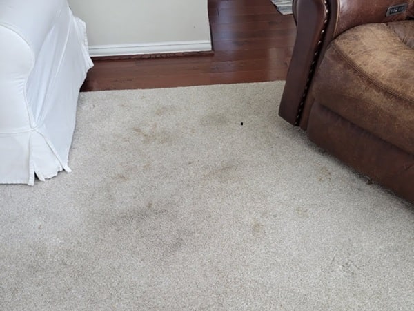 Carpet Steam Cleaning Geelong