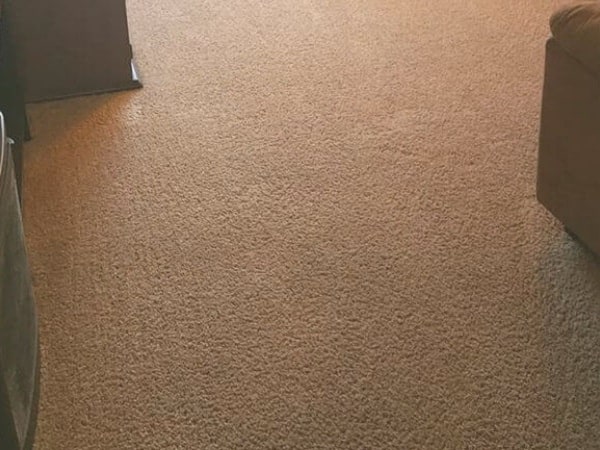 Carpet Steam Cleaning Geelong