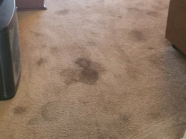 Carpet Cleaning Geelong